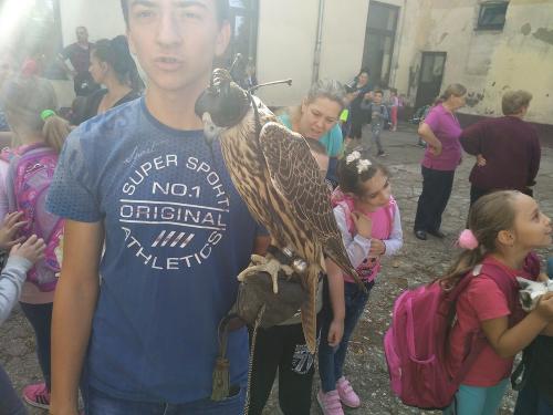 IMG 20190927 123313