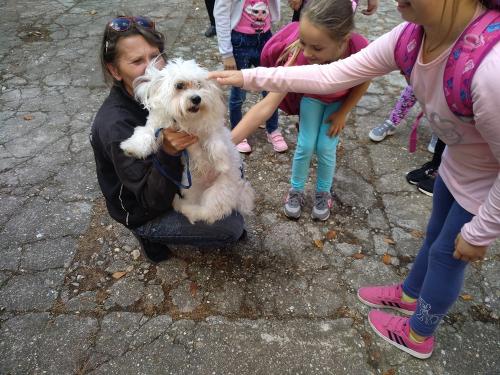 IMG 20190927 123359