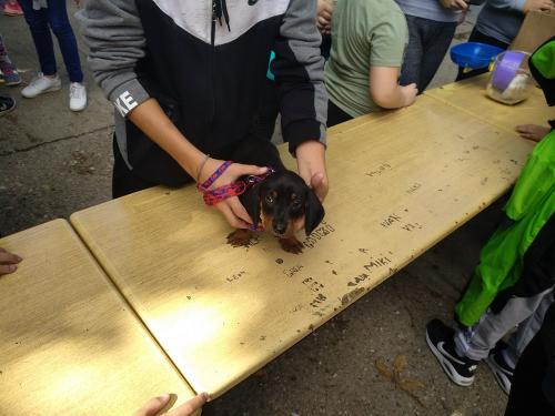 IMG 20190927 123500